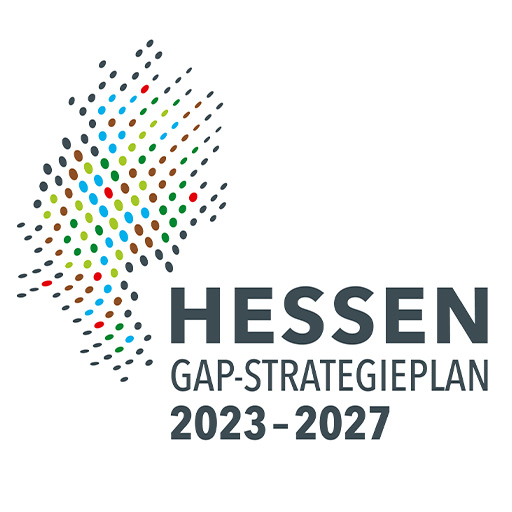Logo GAP